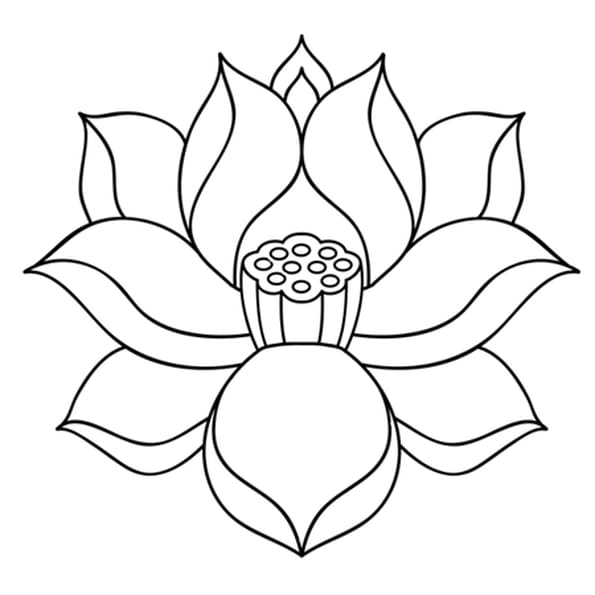 Coloriage De Fleur De Lys