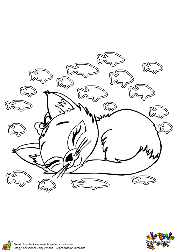 Coloriage A Imprimer Bebe Animaux