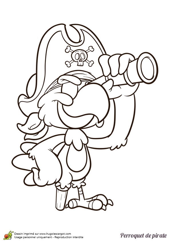 Coloriage D Un Pirate