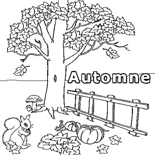 Coloriage Arbre Automne Imprimer