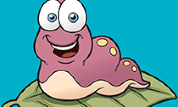 Insectes et petites bestioles