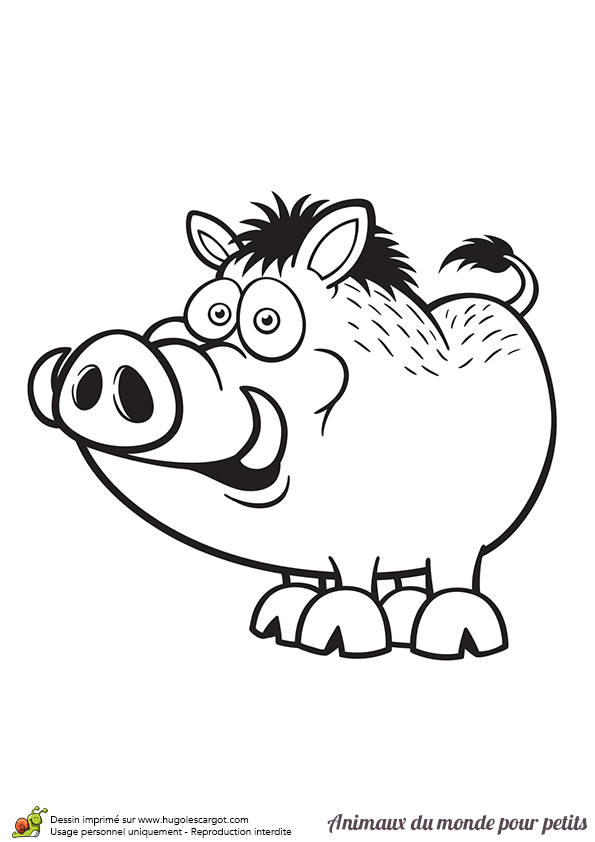 Coloriage D Un Sanglier Coloriage Pour Les Tout Petit A Imprimer L Coloriage D Un Sanglier Coloriage Pour Les Tout Petit A Imprimer L