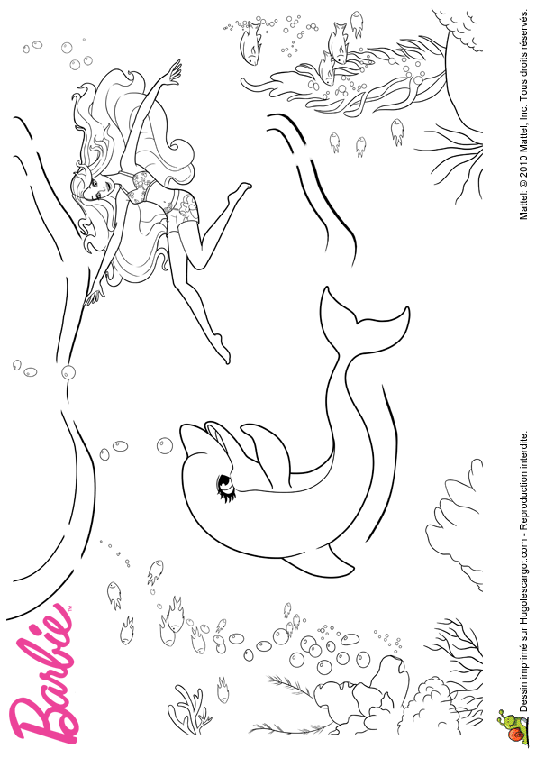 Coloriage Dauphins A Imprimer
