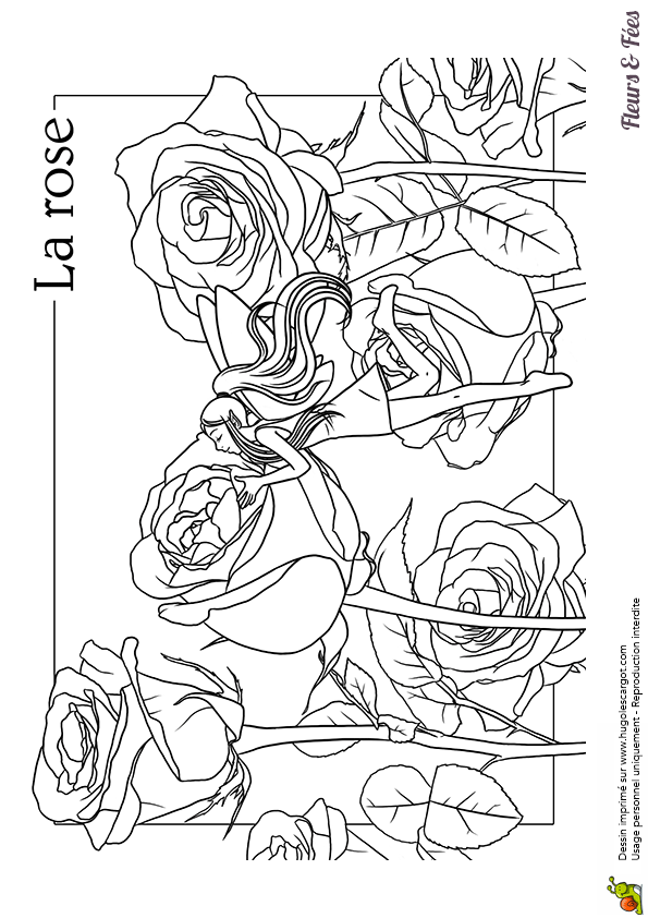 Coloriage D Elfe Et De Fee