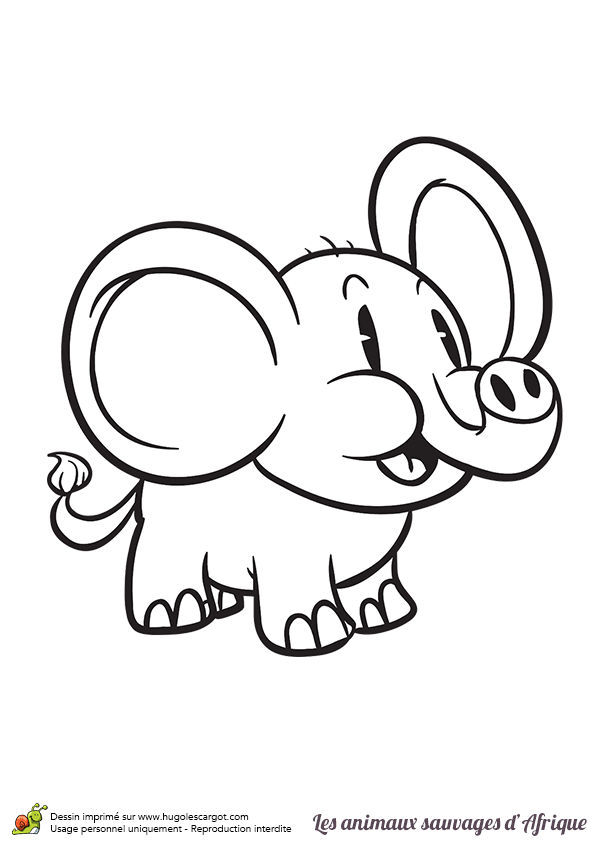 Dessin Coloriage Animaux Sauvages