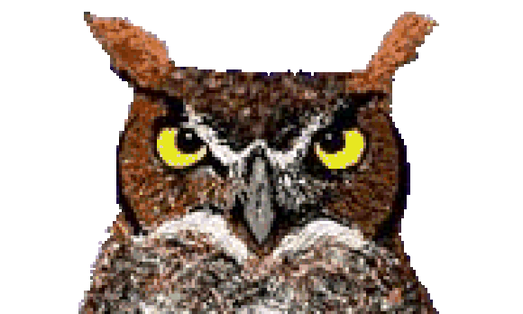 Chouette Hibou