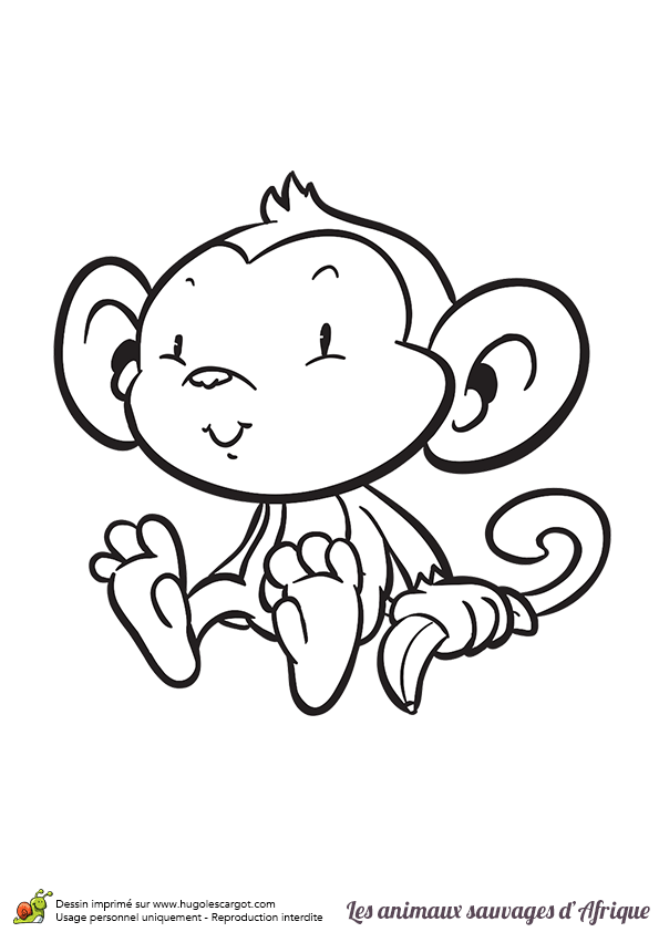 Coloriage Animaux Sauvages D Afrique