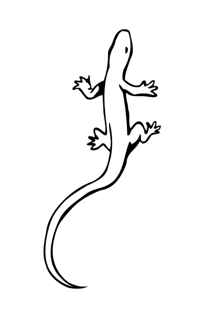 Coloriage L Zard Sur Hugolescargot Com Coloriage Lezard L Coloriage L Zard Sur Hugolescargot Com Coloriage Lezard L
