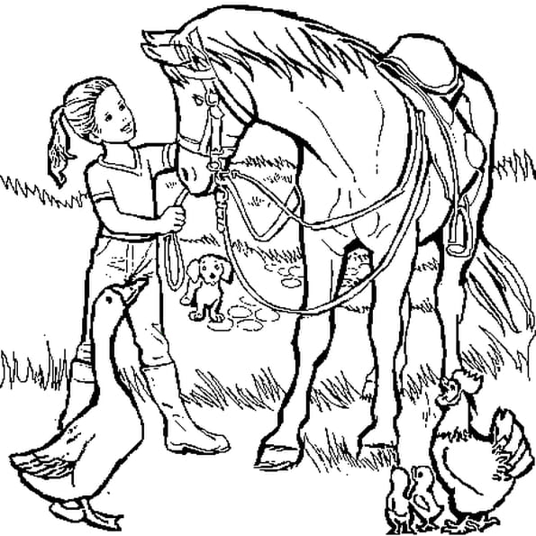 Coloriage Animaux Sauvages A Imprimer Gratuit