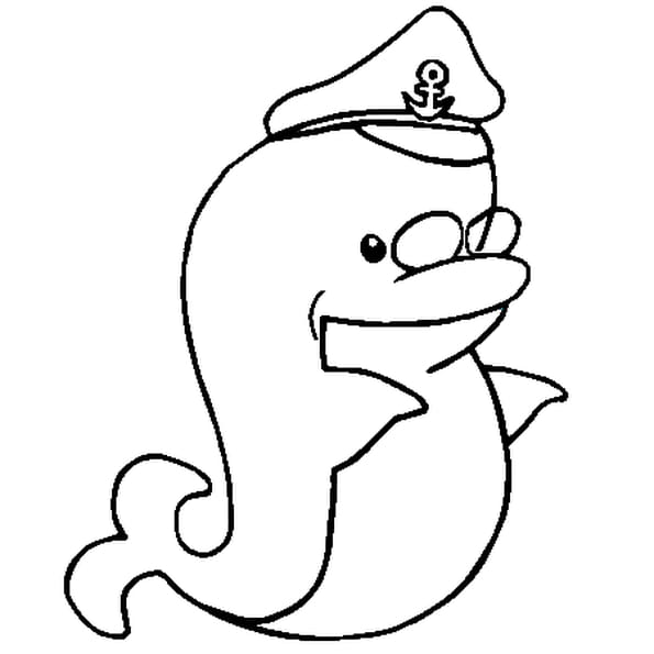 Coloriage A Imprimer Dauphin