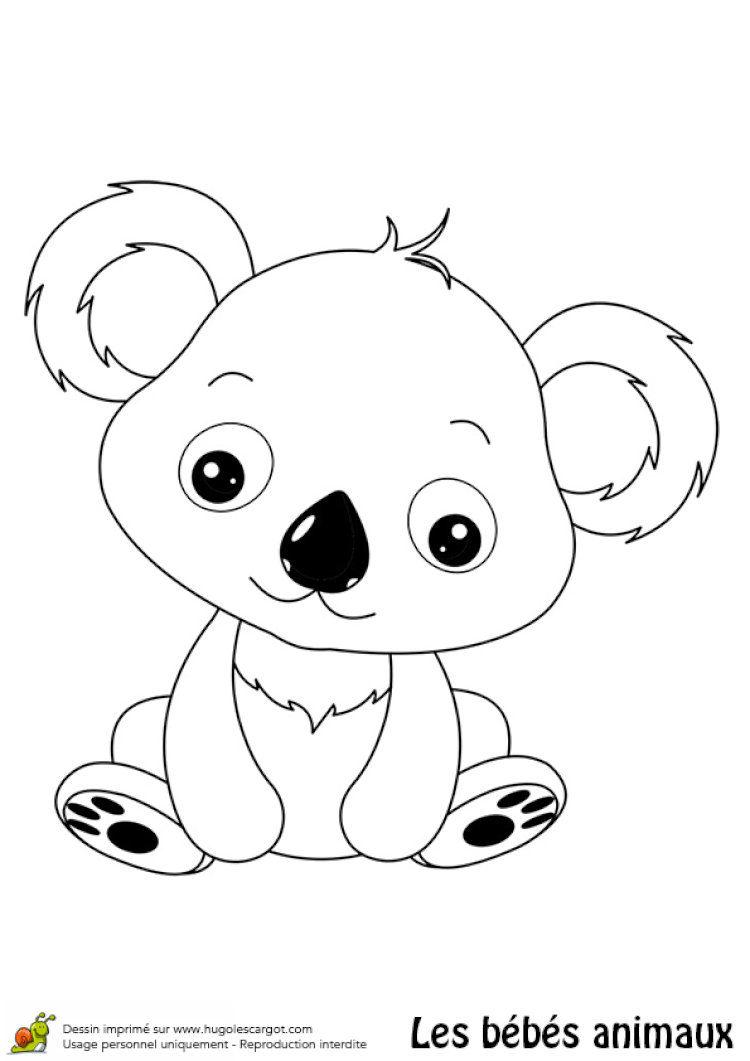 Coloriage Bebe Koala Hugolescargot Com L Coloriage Bebe Koala Hugolescargot Com L