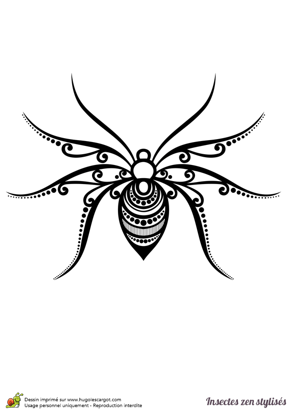 Coloriage D Araignee A Imprimer