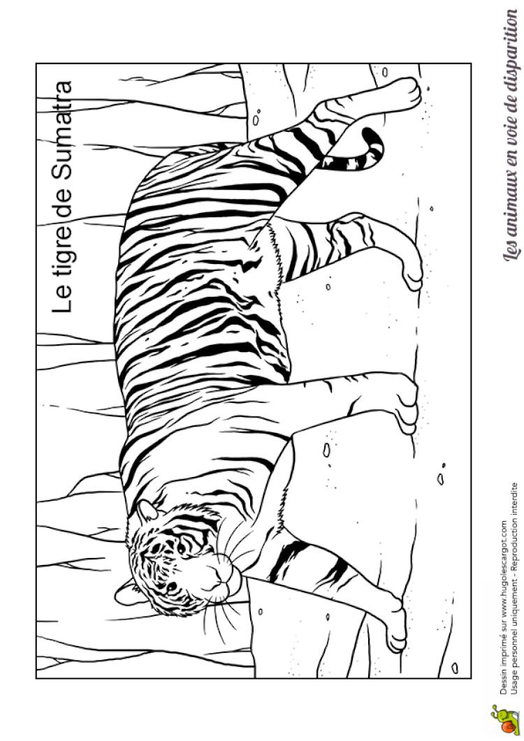 Coloriage A Peindrel L Duilawyerlosangeles Coloriage A PeindreL Coloriage A Peindrel L Duilawyerlosangeles Coloriage A PeindreL
