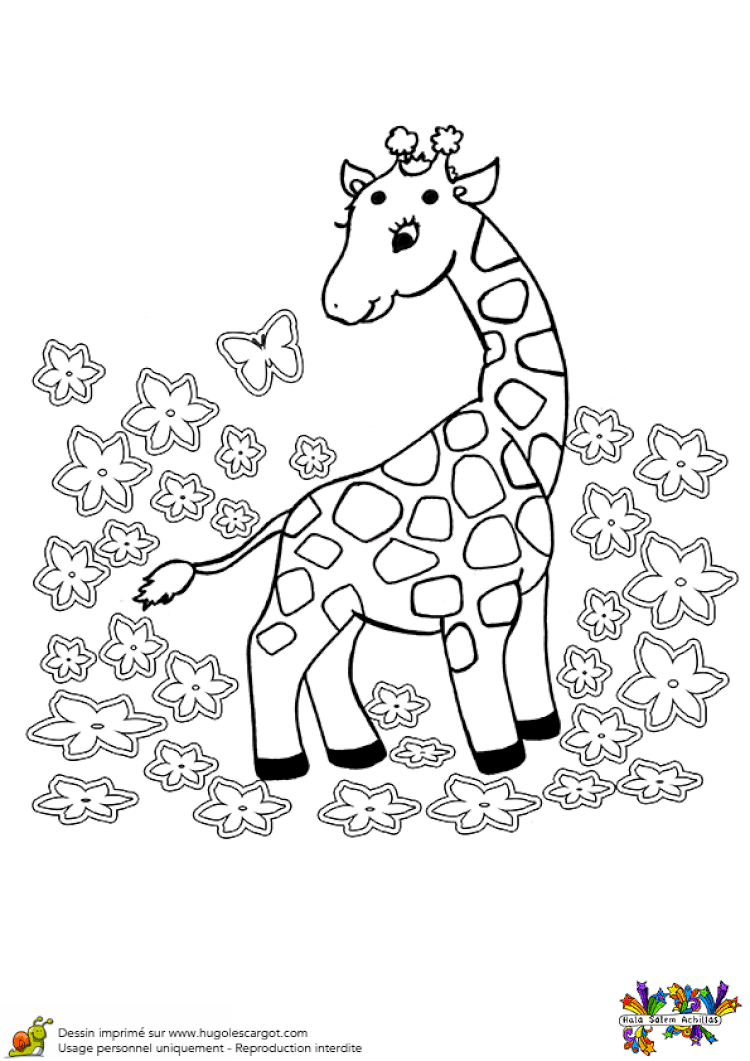 Coloriage Bebe Girafe Hugolescargot Com L Coloriage Bebe Girafe Hugolescargot Com L