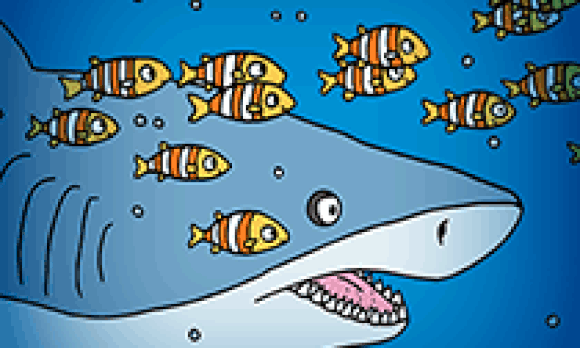 Poissons multicolores