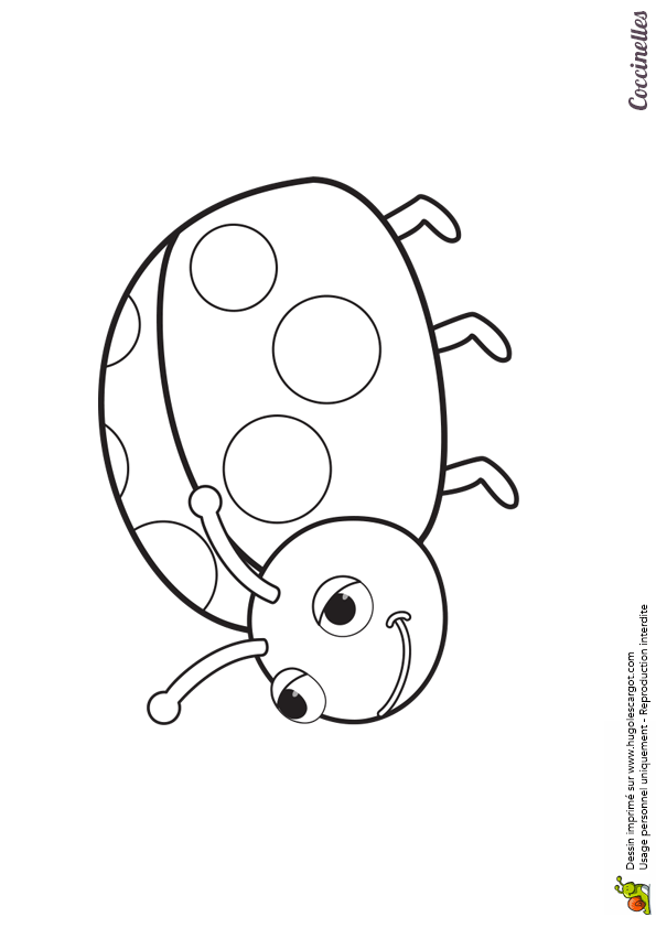 Coloriage De Coccinelle Gratuit