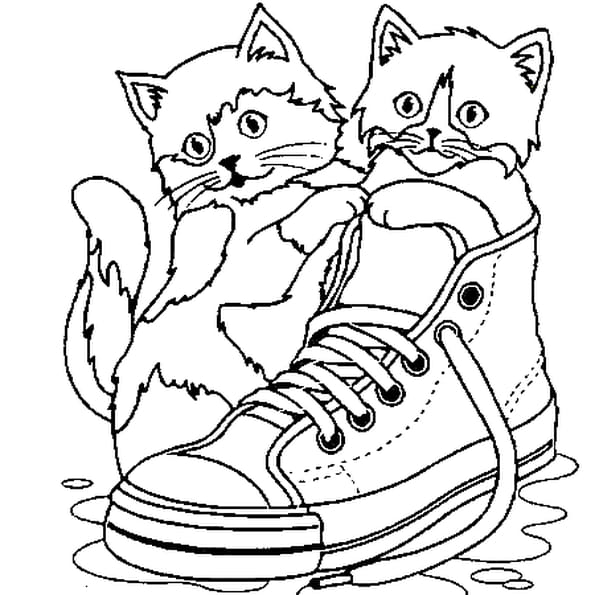 Coloriage A Imprimer De Chat