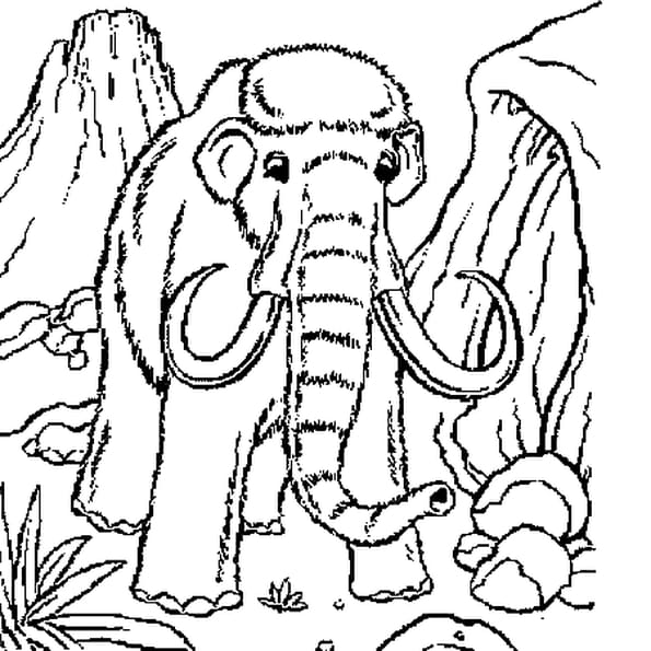 Coloriage Homme Prehistorique A Imprimer