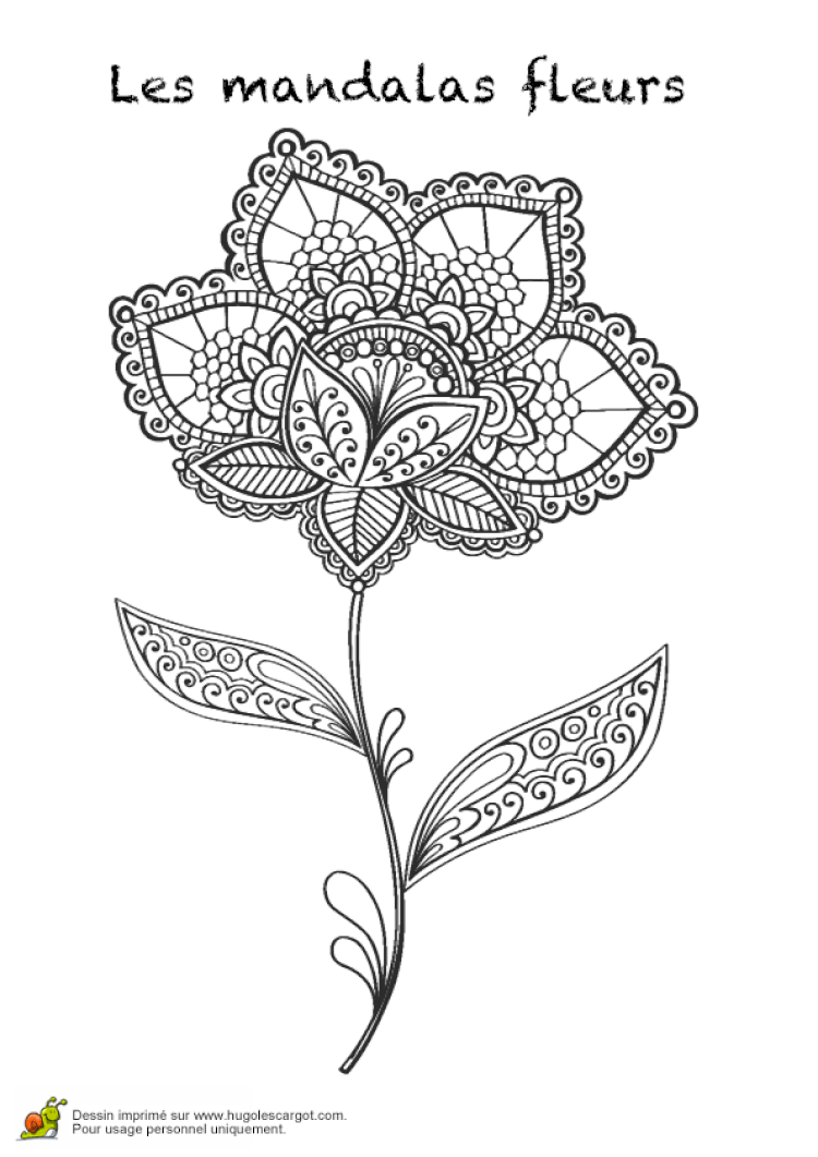 Coloriage Mandalas Fleurs Sur Hugolescargot Com Coloriage Mandalas Fleurs L Coloriage Mandalas Fleurs Sur Hugolescargot Com Coloriage Mandalas Fleurs L