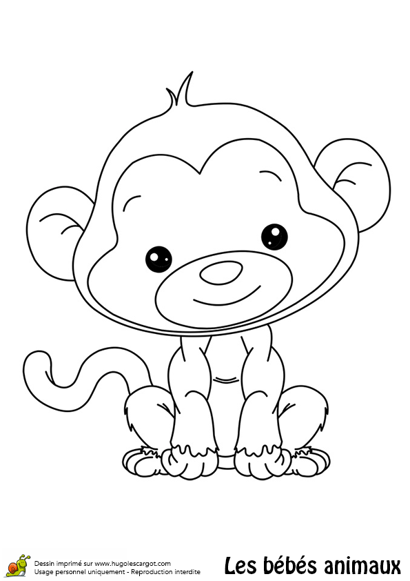 Coloriage Bebe Animaux A Imprimer Gratuit
