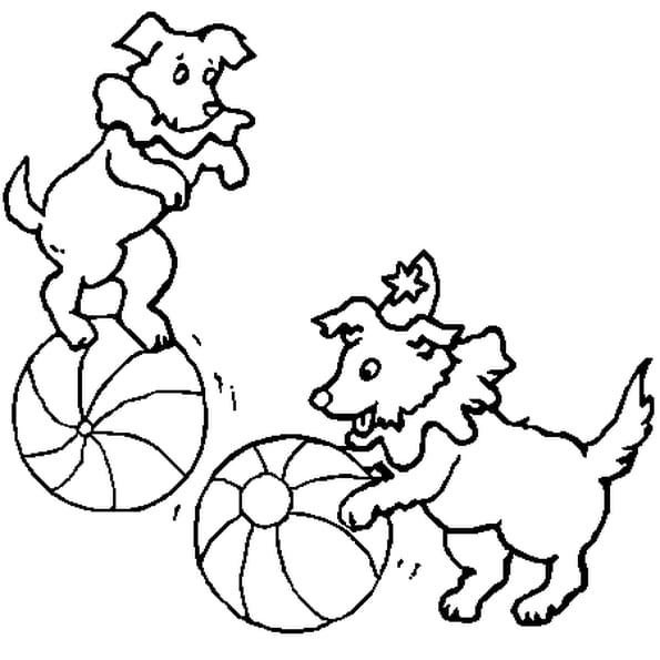 Coloriage Cirque A Imprimer Gratuit