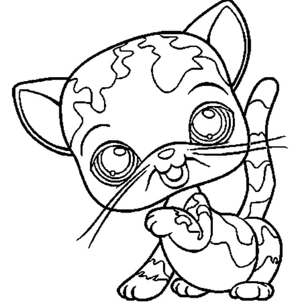 Coloriage Petshop Chat Europeen