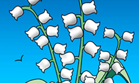 1er mai et brins de muguet