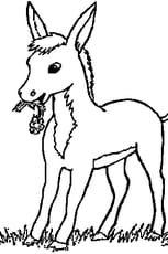 Coloriage De Animaux De La Ferme