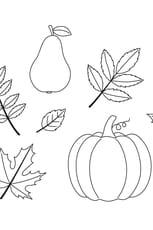 Coloriage des &eacute;l&eacute;ments de l'automne