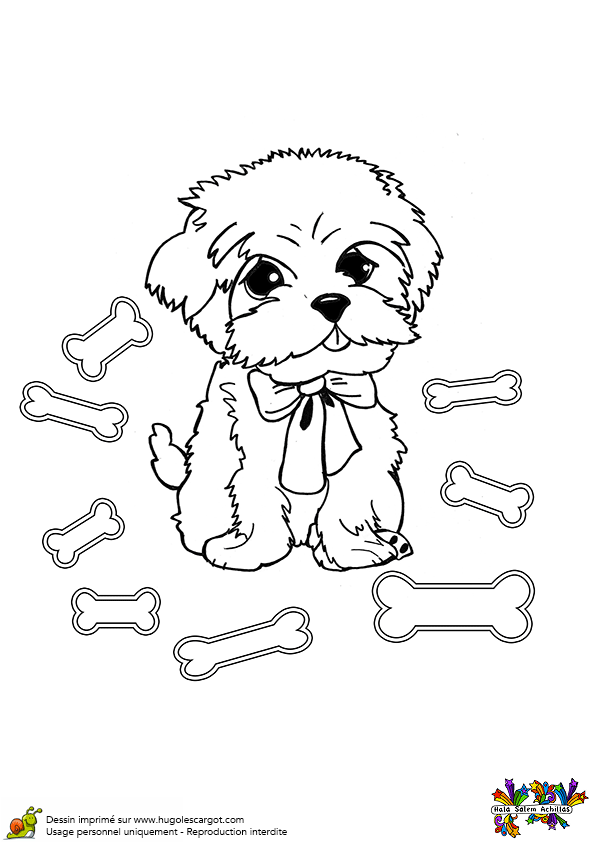 Coloriage De Chiot A Imprimer