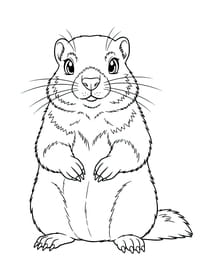 Une jolie marmotte de montagne