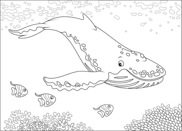 Coloriage d'une baleine &agrave; bosses et ses amis poissons