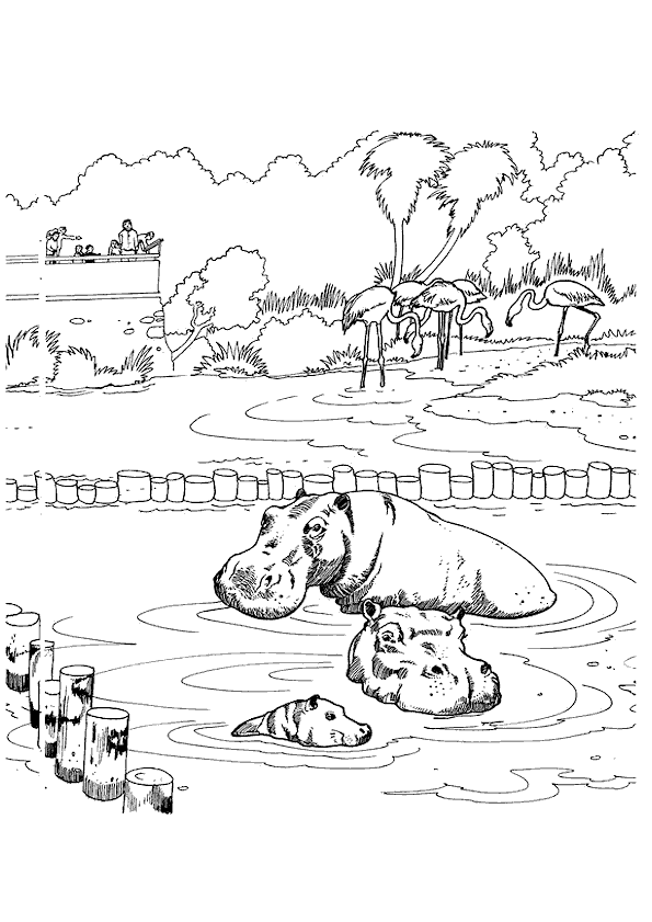 Coloriage Zoo A Imprimer Gratuit