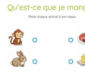 Qui mange quoi&nbsp;? Relie les animaux &agrave; leur repas