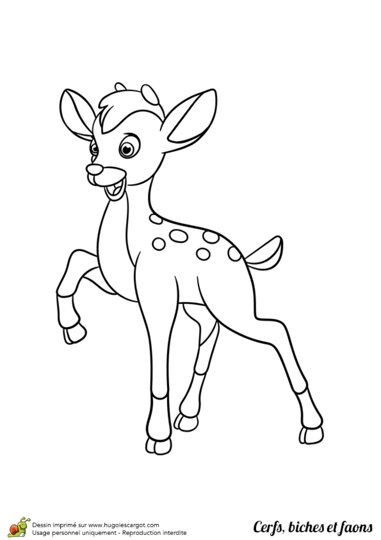 Dessin Faon Facile Dessin à colorier d'un petit faon