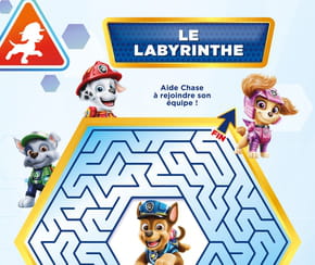 Jeu du labyrinthe, Pat'Patrouille