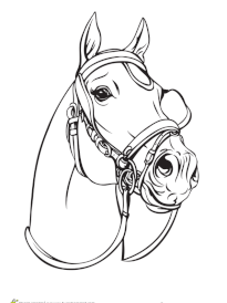 Coloriage Cheval A Imprimer Page 2