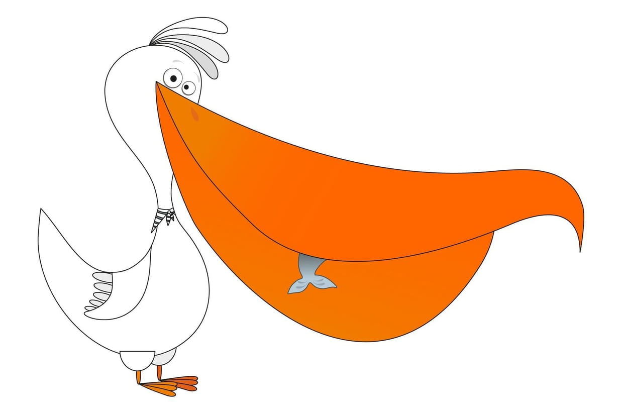 Monsieur Pelican Chansons Pour Enfants Sur Hugolescargot Com Monsieur Pelican Chansons Pour Enfants Sur Hugolescargot Com