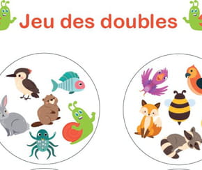 Le jeu des doubles à imprimer pour des heures de fous rires en famille !