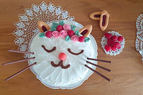 G&acirc;teau t&ecirc;te de chat facile &agrave; faire&nbsp;: la recette qui r&eacute;gale petits et grands