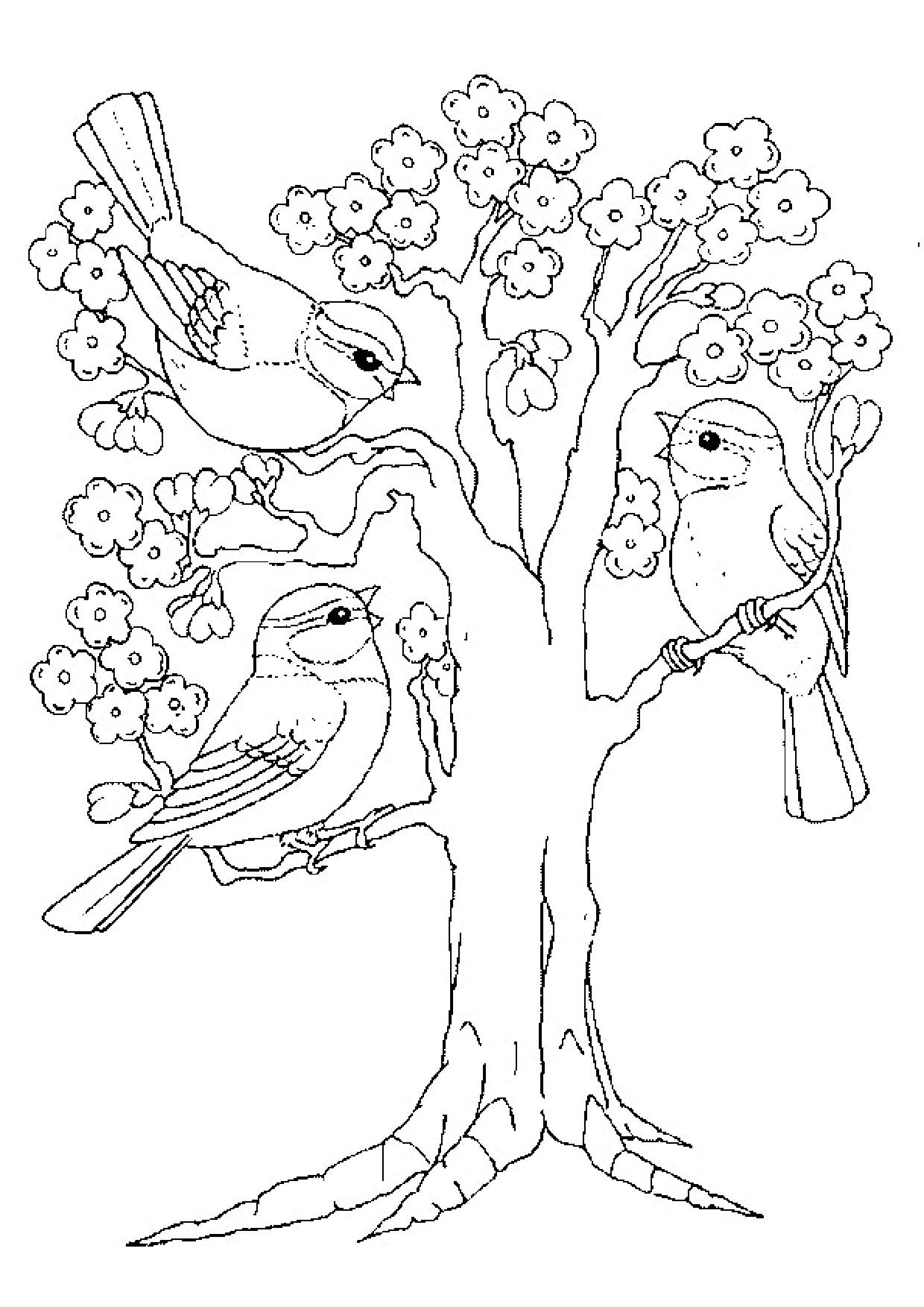 Coloriage Arbre Du Printemps