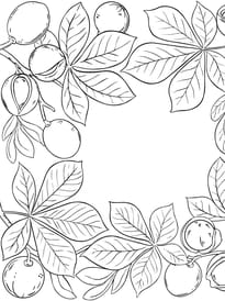 Coloriage feuilles de marronnier