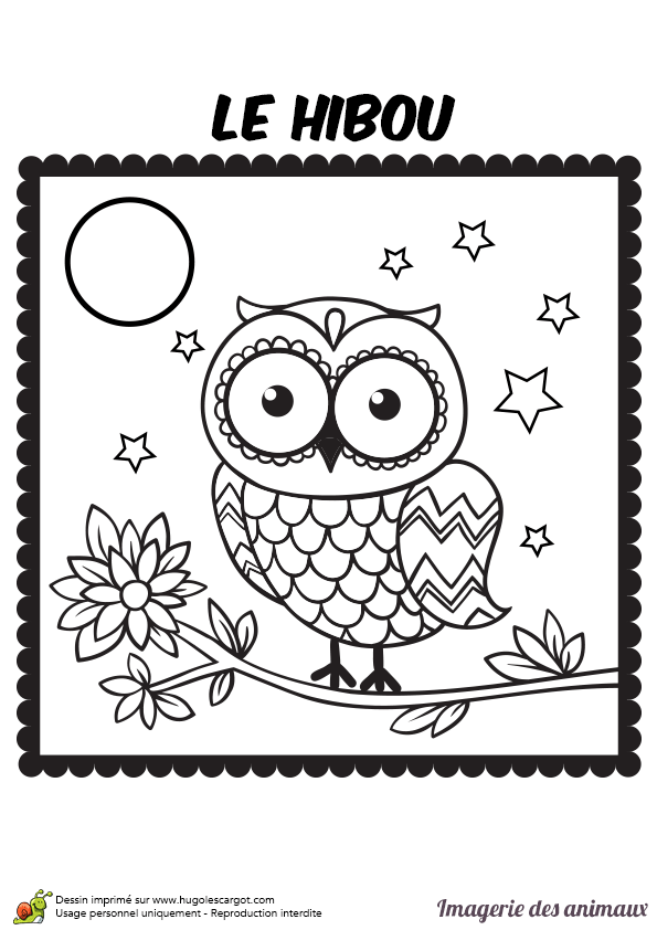 Coloriage Chouette Et Hibou
