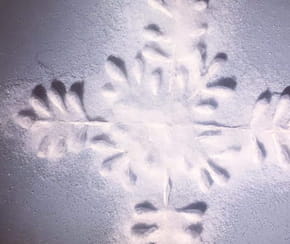 Fabriquez un magnifique flocon de neige avec des cotons-tiges