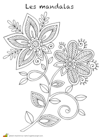 Coloriage mandala fleurs &eacute;panouies