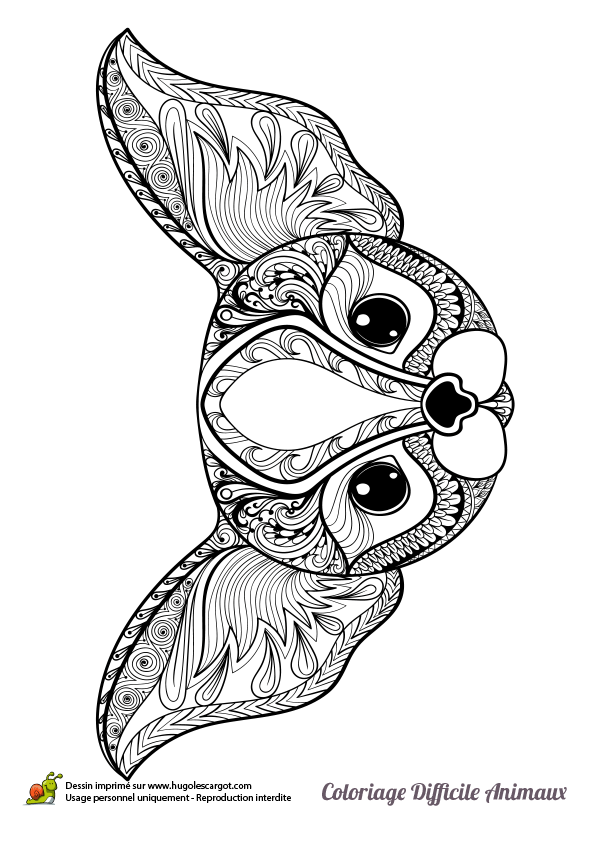 Coloriage De Tete D Animaux