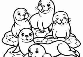 Coloriage d'une famille d'otaries