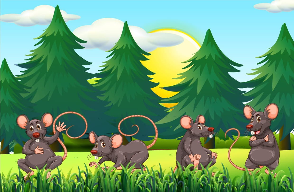 Peluches Rat De Ville Et Rat Des Champs JEMINI Neuf Avec Livret - Fable De La Fontaine
