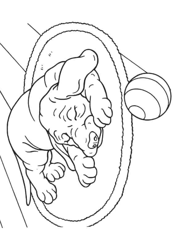 Coloriage Chiot A Imprimer Gratuit