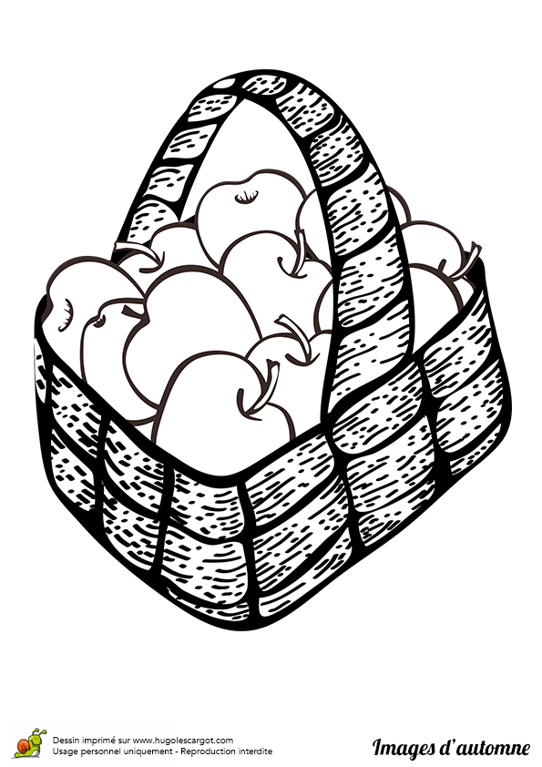 Coloriage A Imprimer Pomme